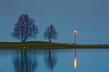 Two Trees & LIght_10975
